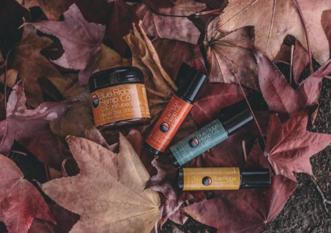 flat lay photography of several product bottles on withered leaves